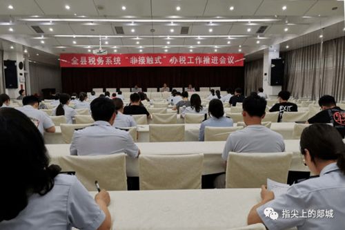 郯城稅務 持續優化營商環境，以專業服務賦能經濟社會發展大局